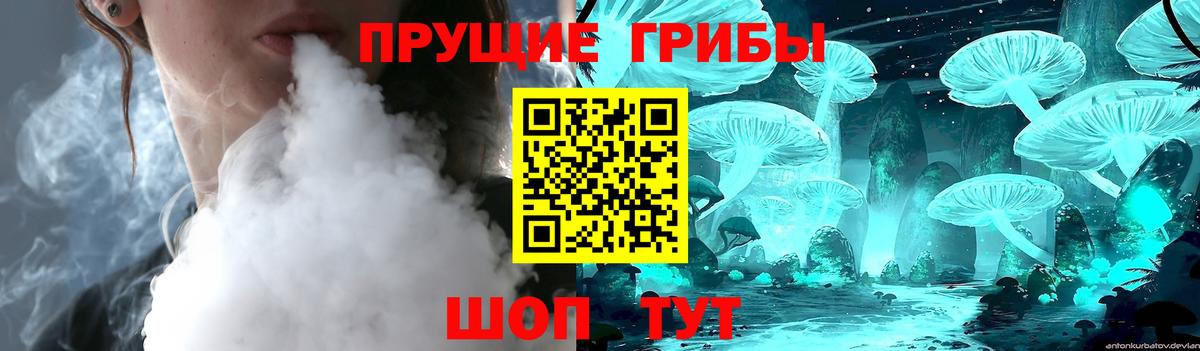 Псилоцибиновые грибы Psilocybine cubensis  Вход с VPN  Асино 
